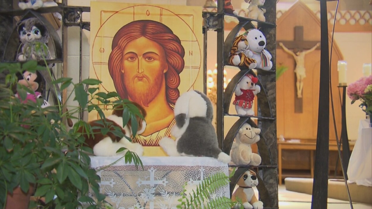L'intérieur de l'église avec des peluches sur l'autel.