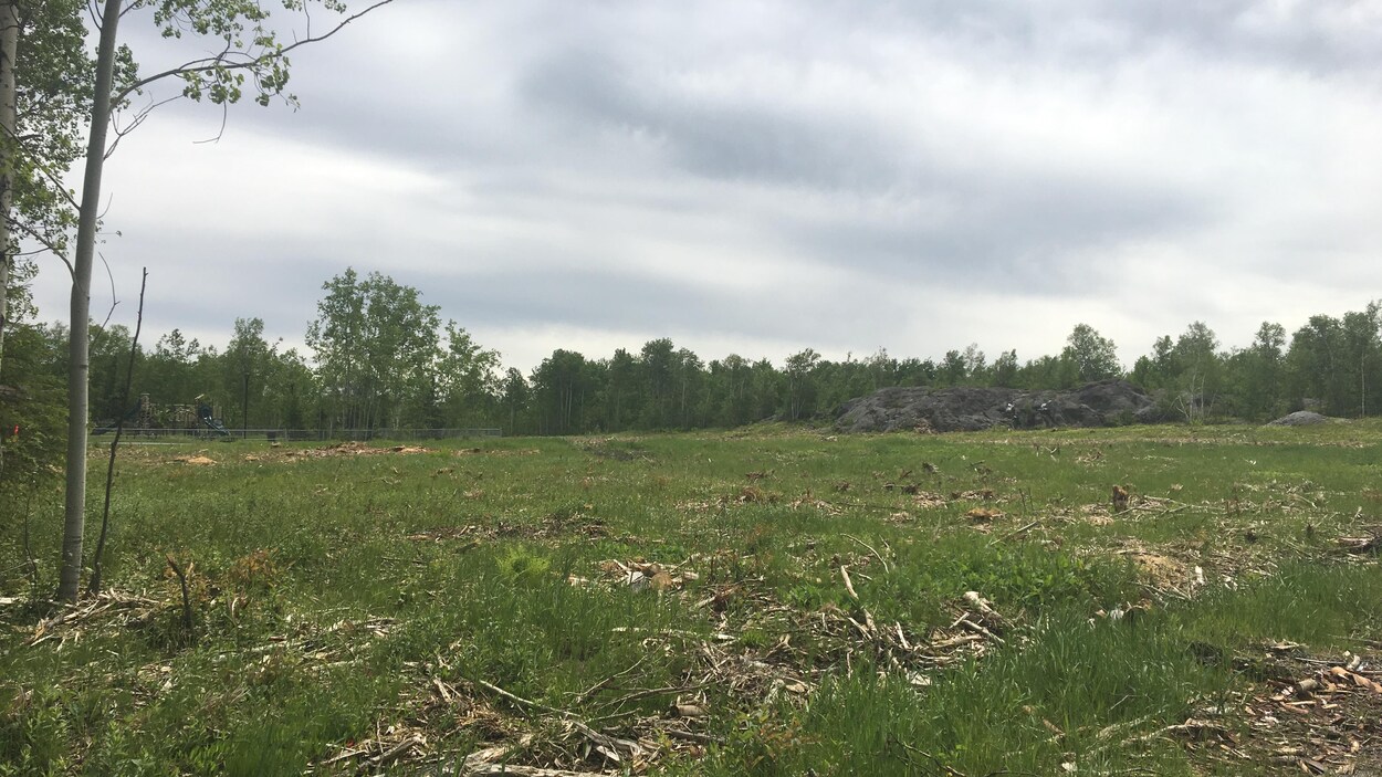Le futur terrain de soccer du secteur St-Luc.