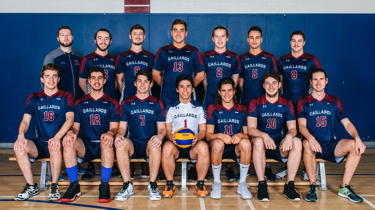 Des joueurs de volleyball posent pour une photo officielle, en deux rangées, dans un gymnase.