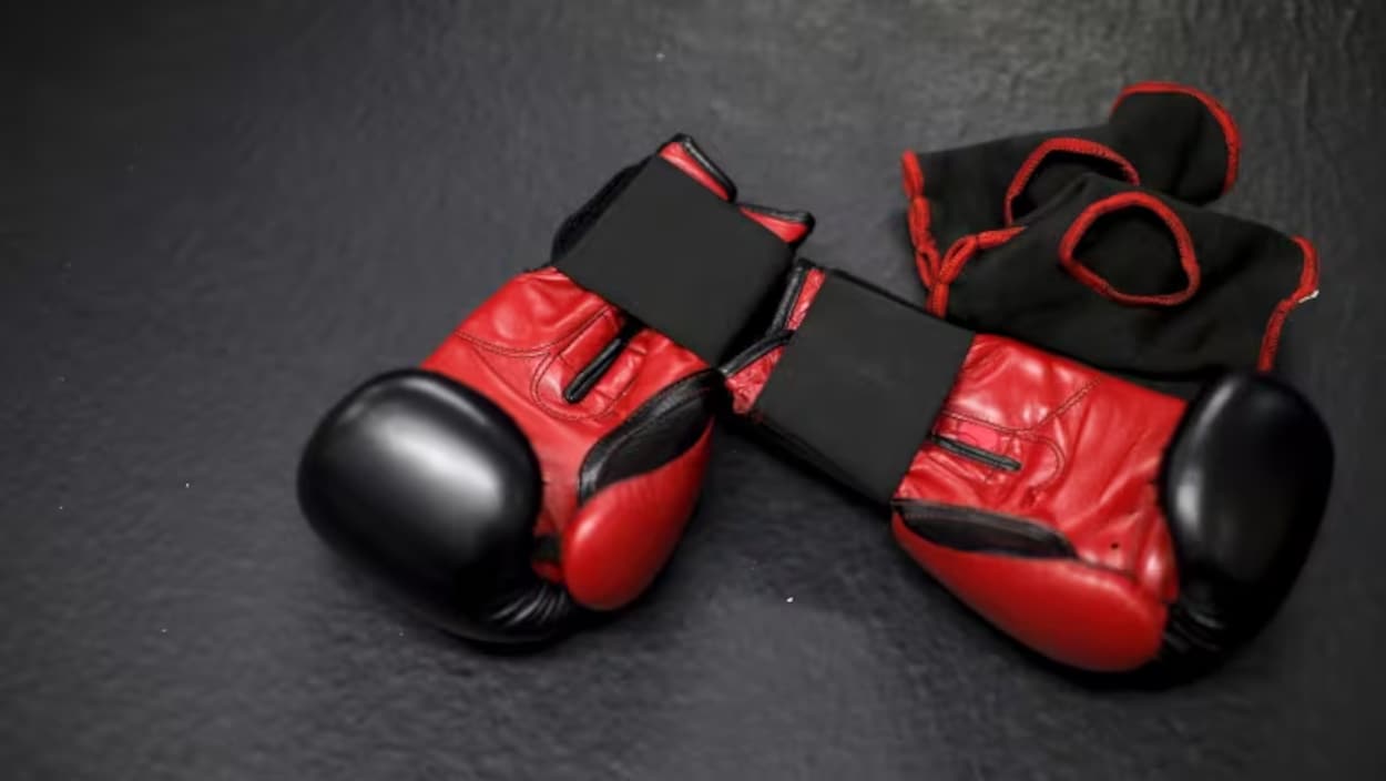 Un projet de loi pour permettre les sports de combat à l’Î.-P.-É.