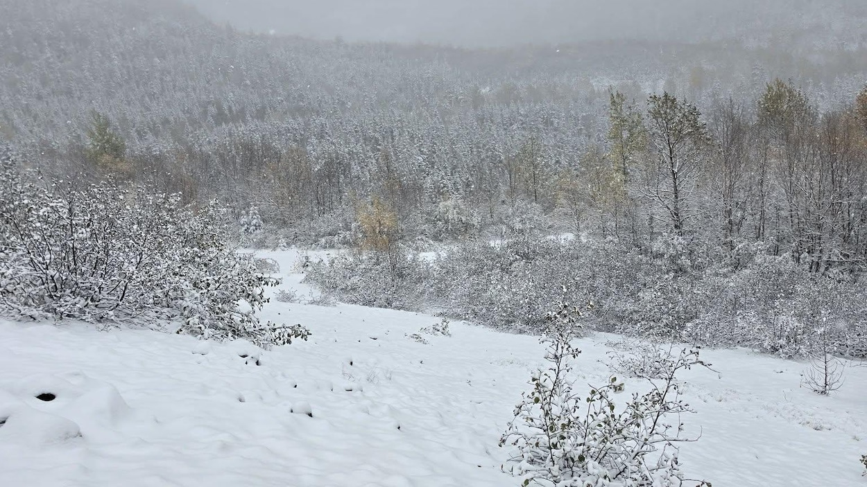 Première neige dans les Chic-Chocs