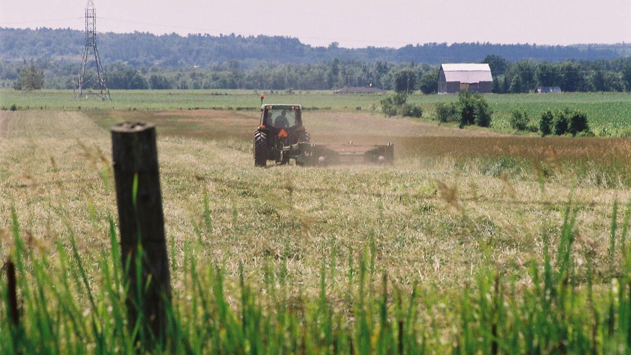 Une ferme de Gatineau