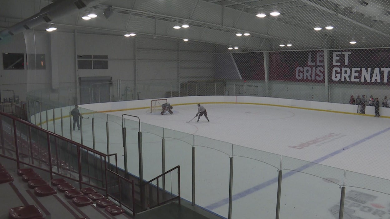 Des hockeyeurs sur la glace