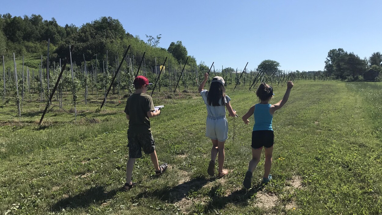 Des enfants marchent, l'un d'entre eux regardant une carte, dans un verger.