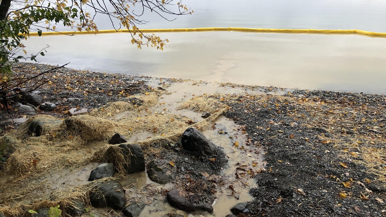 Une digue retient des sédiment jaunâtres dans le lac.
