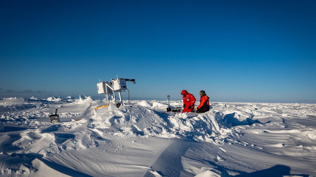Des chercheurs internationaux se rendent au Nunavut pour étudier les banquises arctiques