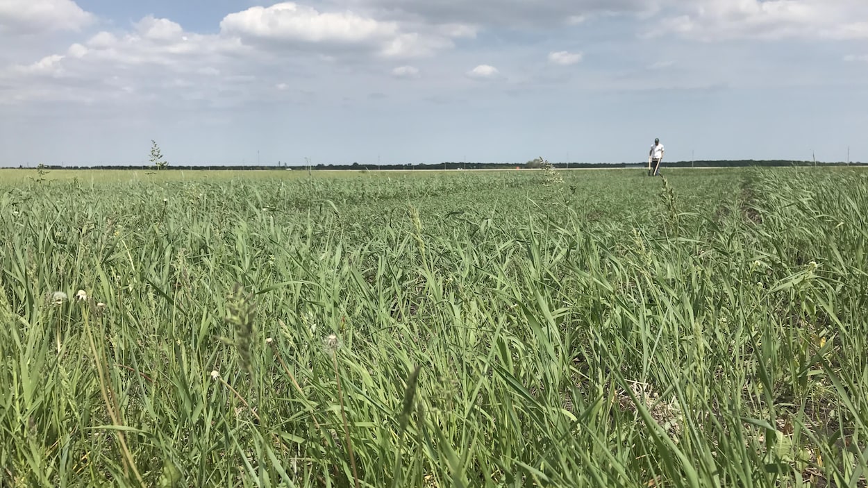 Agriculteur Site De Rencontres Canada