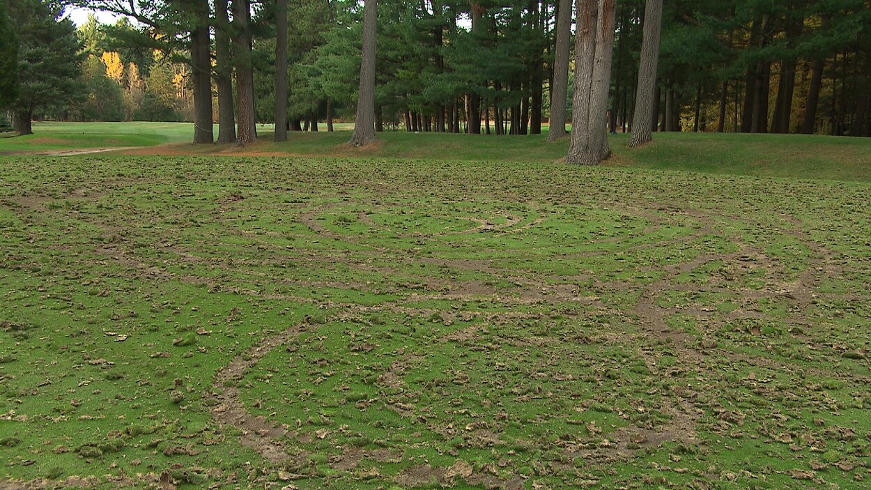 Des traces de roues sur un terrain de golf.