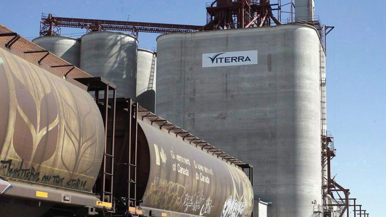 Un train avec des wagons à grain devant un élévateur à grain de l'entreprise Viterra.