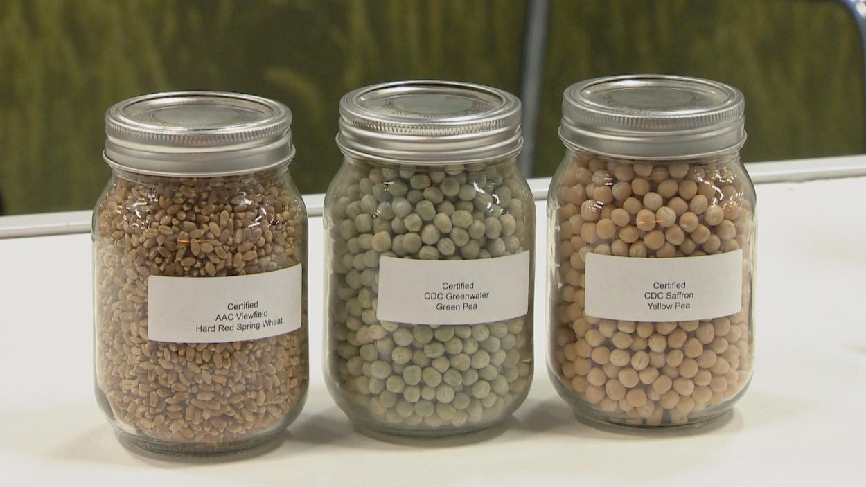 Vue sur trois pots massons remplis de grains.