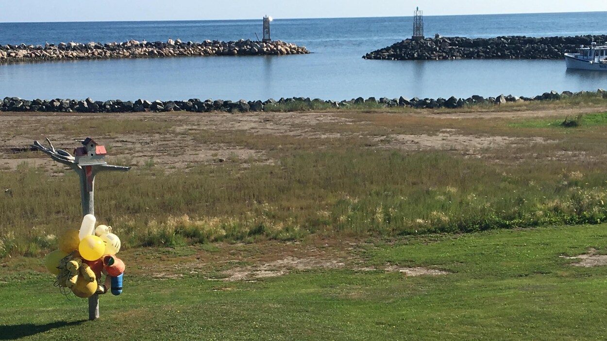 Un terrain vague près des rochers qui protègent le rivage.