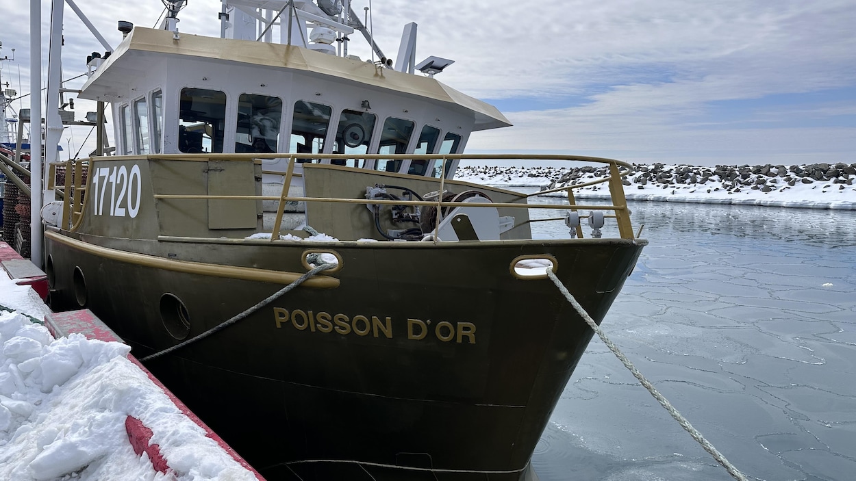 Grande-Rivière veut devenir un centre d’innovation des pêches