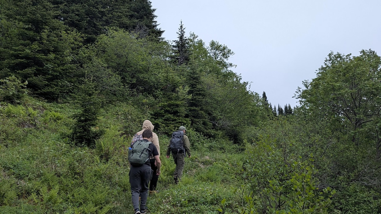 « Le plus long sentier côtier en Amérique du Nord » avance à grands pas à Terre-Neuve