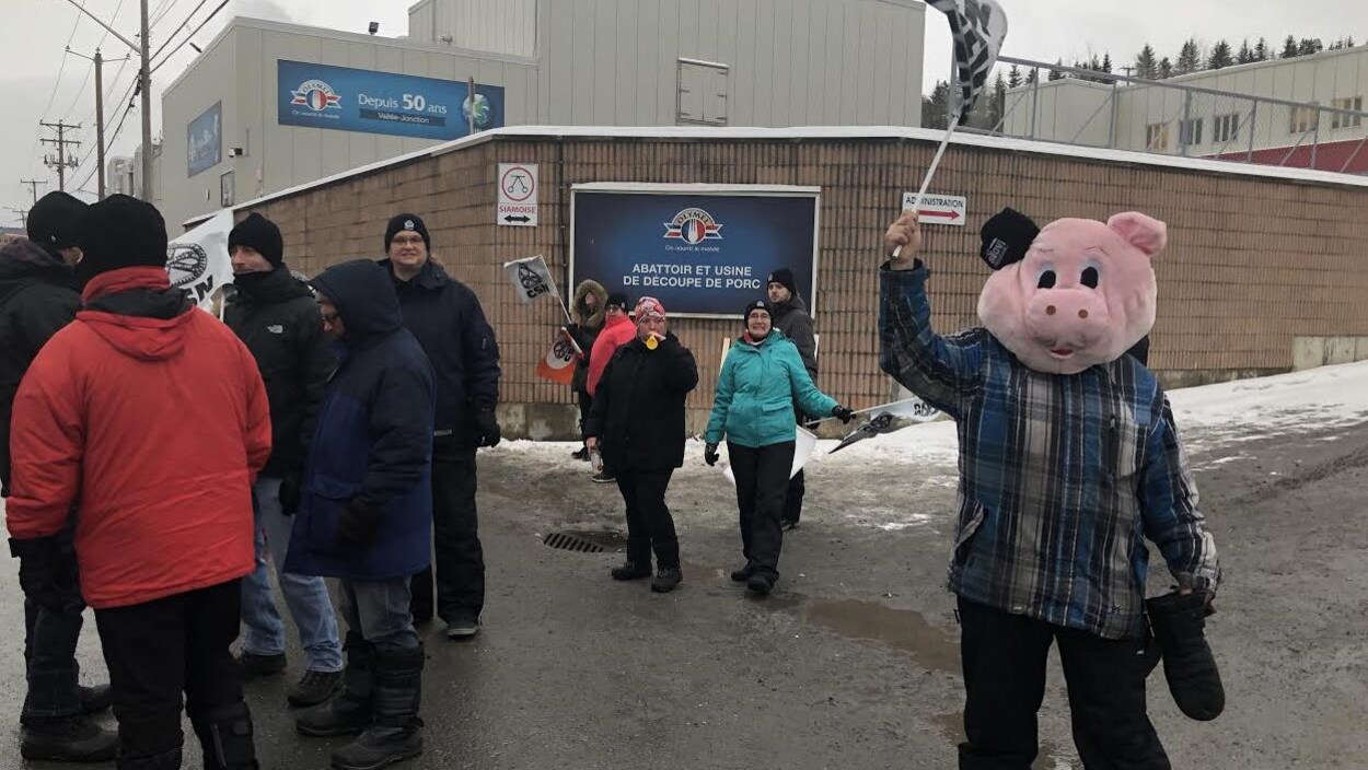 Des grévistes de l'usine Olymel de Princeville bloquaient l'accès à l'usine Olymel de Vallée-Jonction lundi matin