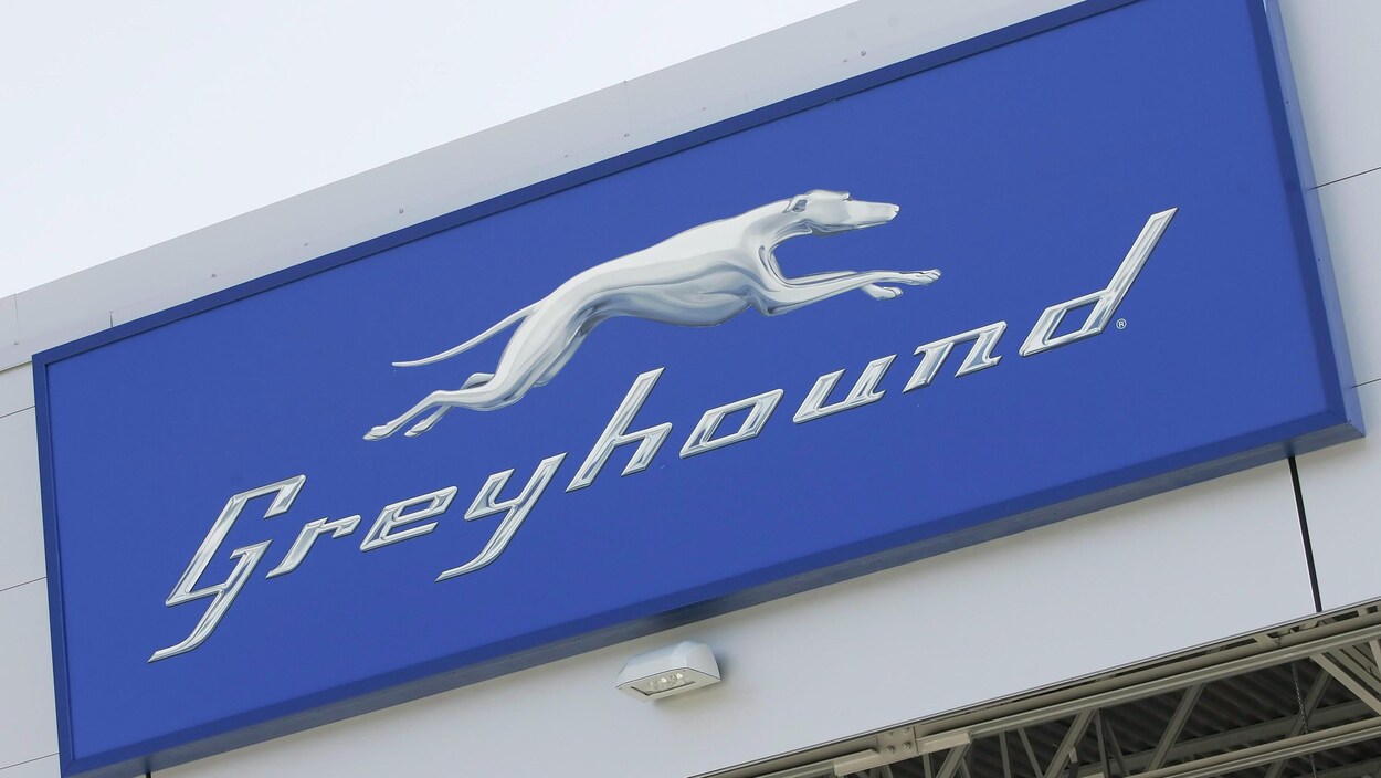 Photo du logo - un chien - de l'entreprise Greyhound Photo du logo - un chien - de l'entreprise Greyhound