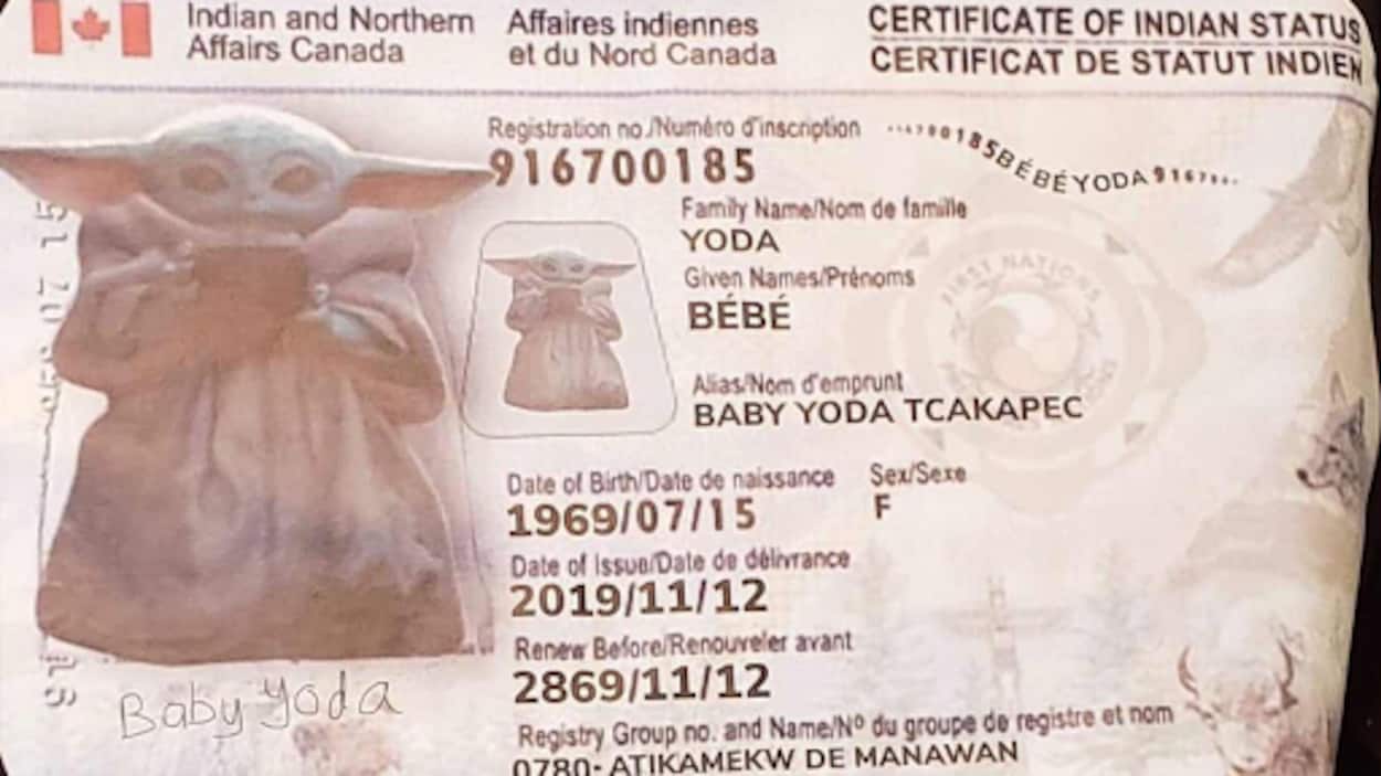 Grogu est Autochtone (vraiment!)