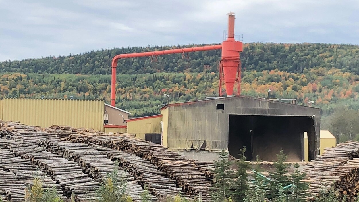 Minuit moins une pour le projet de nouvelle usine à Squatec RadioCanada