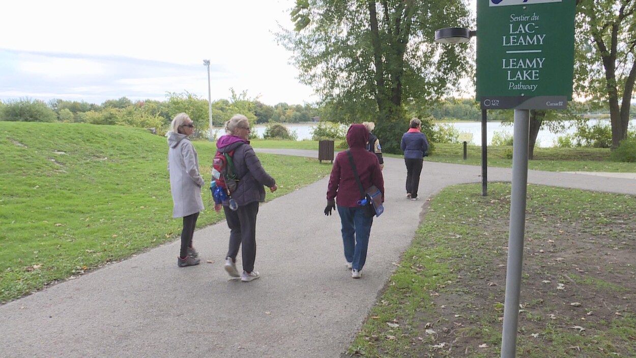 Cinq femmes font une marche en automne.