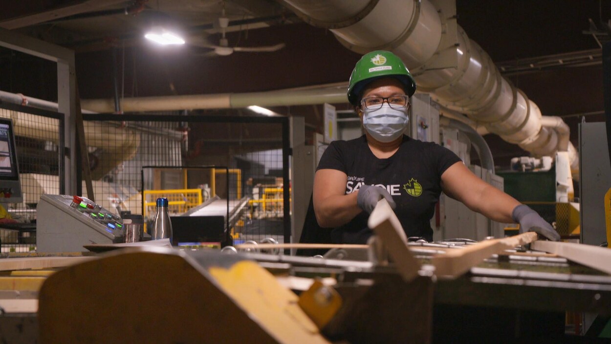 Pénurie de maind’œuvre un projet pour jumeler des immigrants à des emplois au N.B. Radio