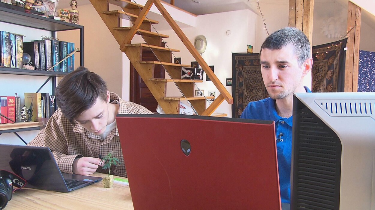 Deux hommes travaillent devant des ordinateurs portables et un plant de cannabis posé sur une table.