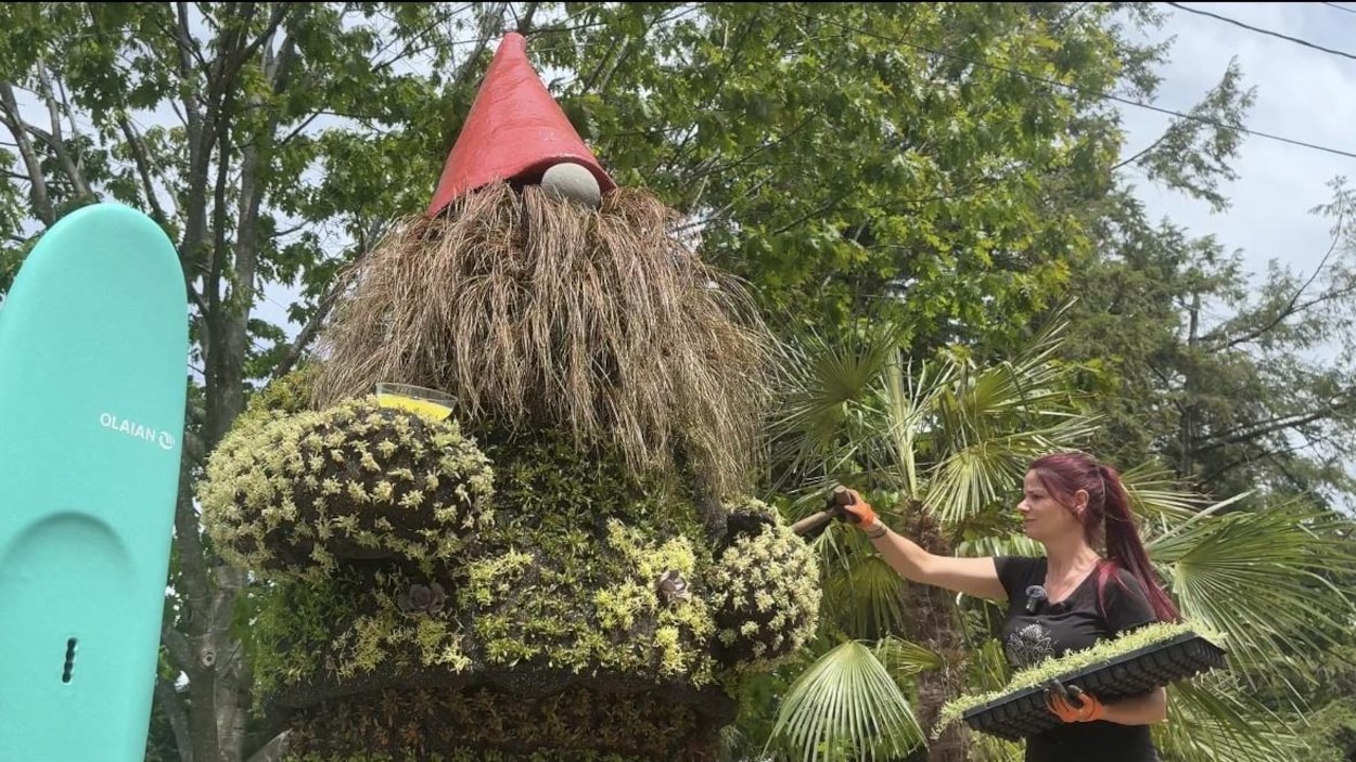 L'actu top chrono : mosaïcultures, logements et athlétisme