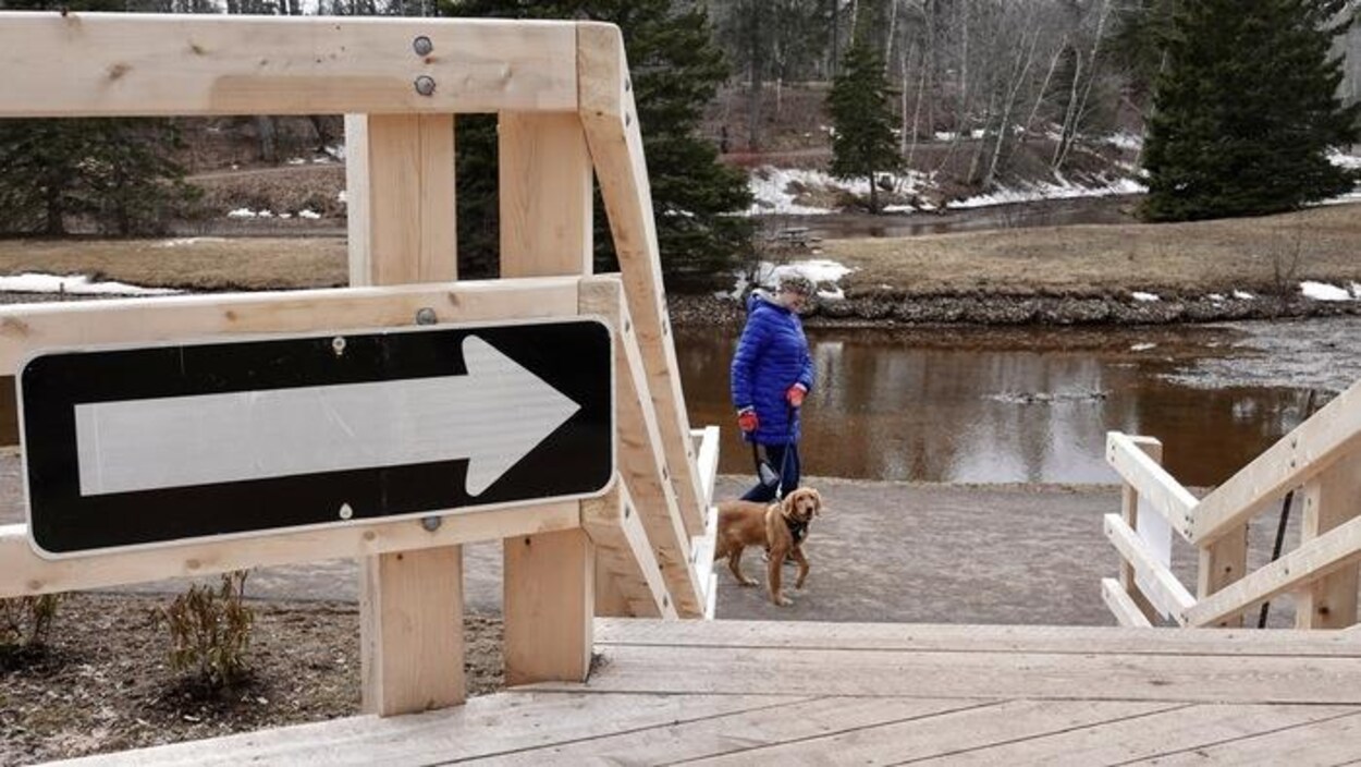 Une femme et un chien marche dans un parc. Un pont avec une flèche orientant vers la droite est cloué sur le bois.