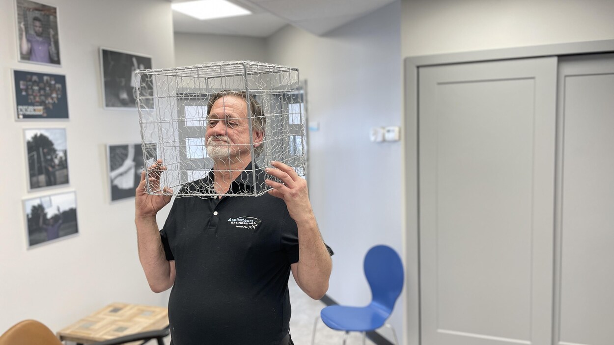 Sortir d’une cage incursion dans le monde de la réhabilitation à