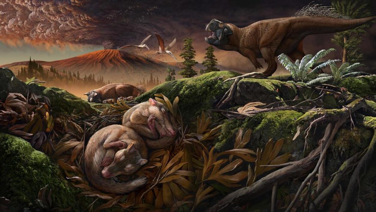 Illustration montrant l'habitat du Origolestes lii.