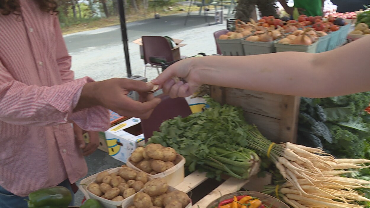 Une dame qui achète des légumes tend un jeton au marchand.