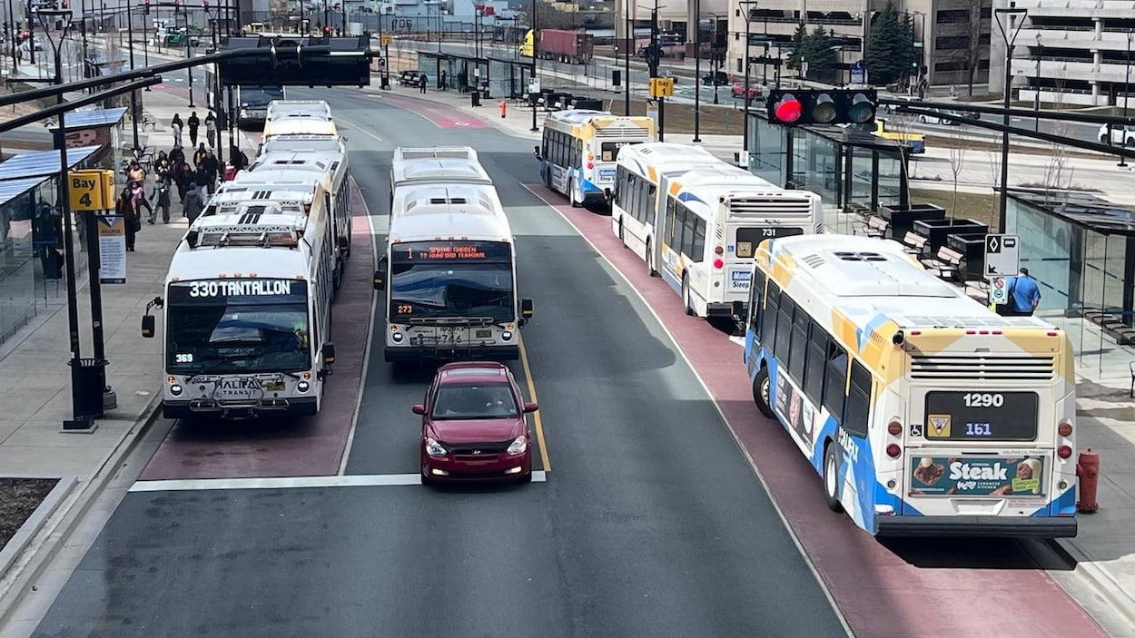 « Un gâchis » : le paiement sans contact d’Halifax Transit repoussé de 3 mois
