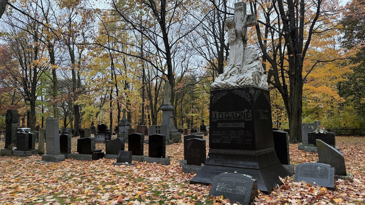Halloween : une passionnée propose une visite nocturne d’un cimetière