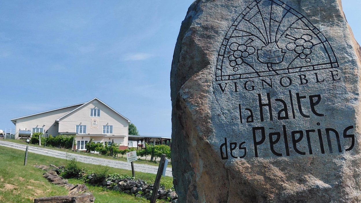 Le vignoble La Halte des Pèlerins est à vendre