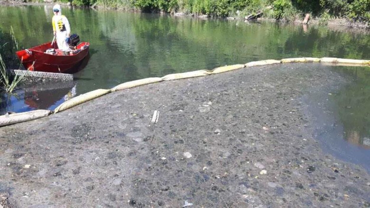 Les employés municipaux nettoient une boue grise à la surface de l'eau.