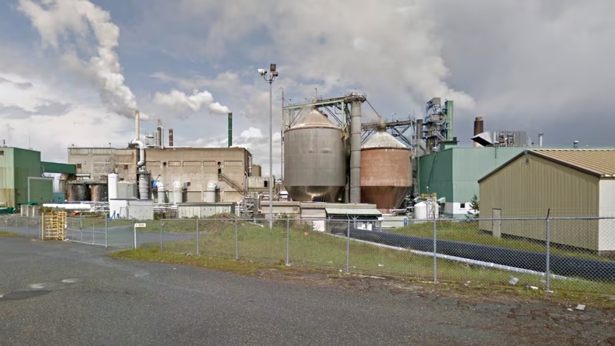 Espoir mesuré pour les deux dernières usines de pâte à papier de l’île de Vancouver