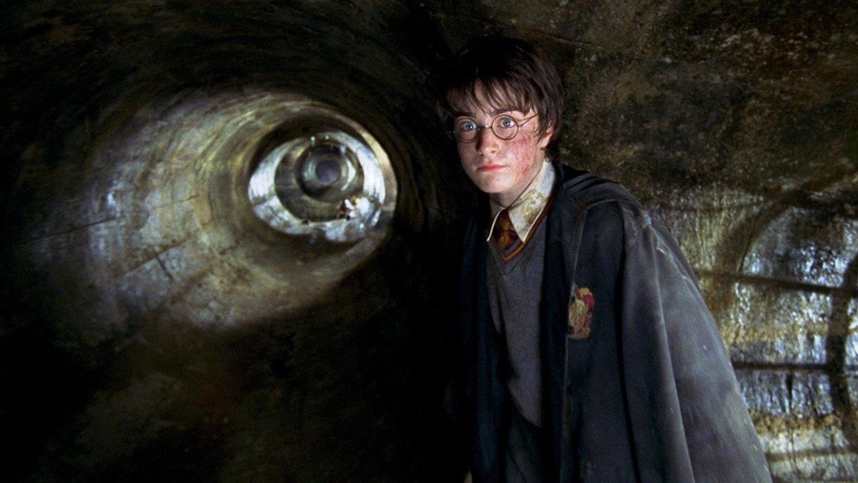 Harry Potter Harry Potter