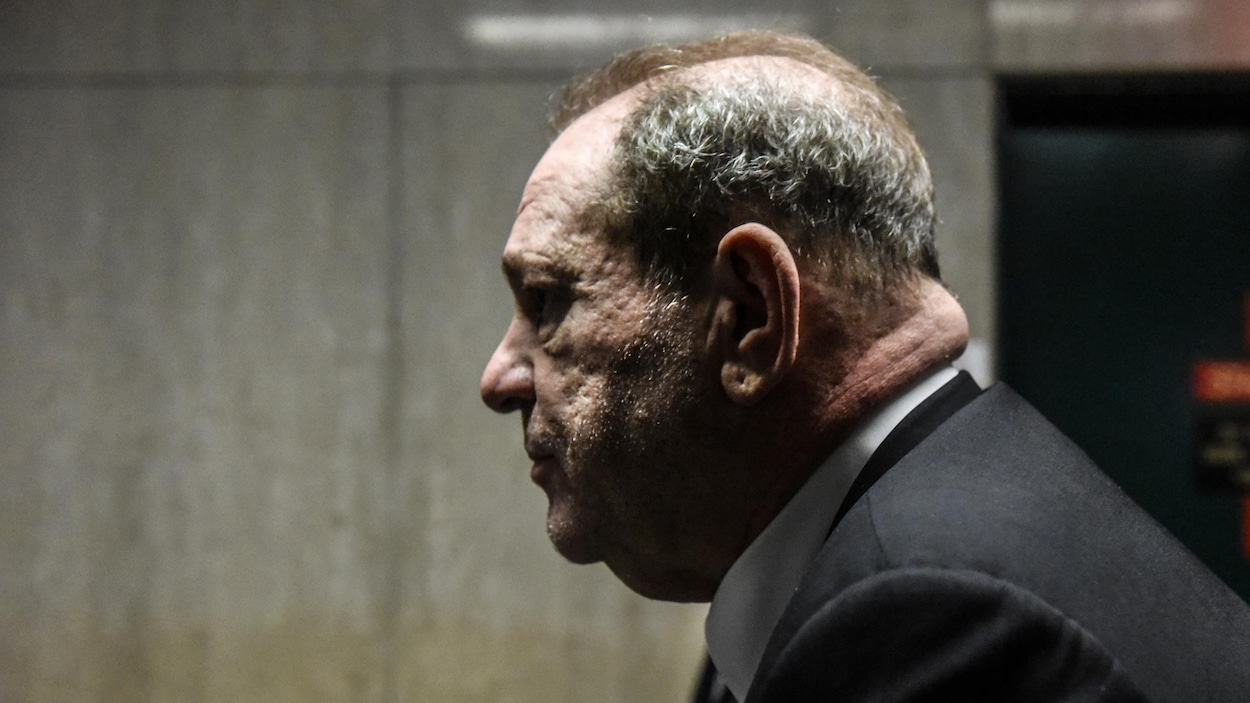 Plan rapproché de Weinstein, de profil, dans l'ombre.