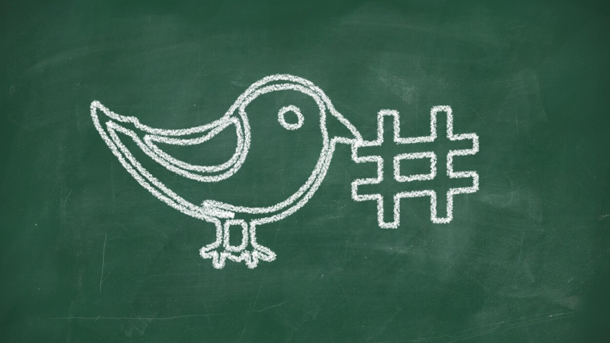 Icône de l'oiseau de Twitter tenant un hashtag dans son bec. Icône de l'oiseau de Twitter tenant un hashtag dans son bec.