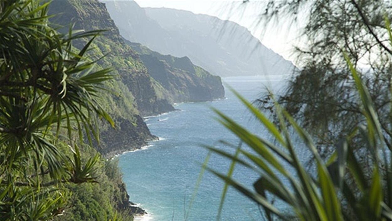 Paysage des îles d'Hawaï : montagnes, verdure, falaises et eau Paysage des îles d'Hawaï : montagnes, verdure, falaises et eau