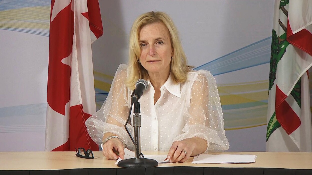 La médecin-hygiéniste en chef de l'Île-du-Prince-Édouard, la Dre Heather Morrison, le 30 mars 2020.