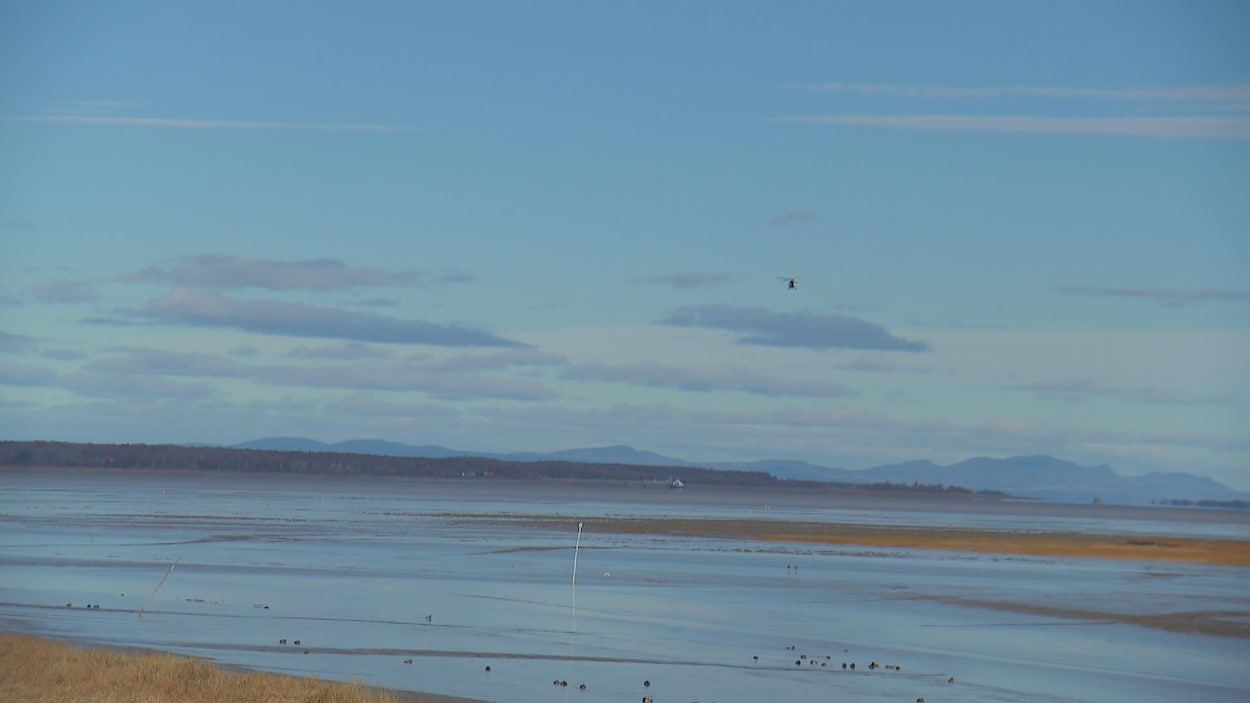 Image accompanying L'hélicoptère de la SQ survole la zone de l'île aux Canards., from Radio-Canada