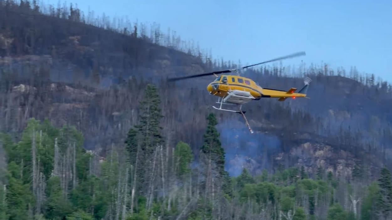 Feu de forêt : 50 personnes évacuées préventivement à Forestville