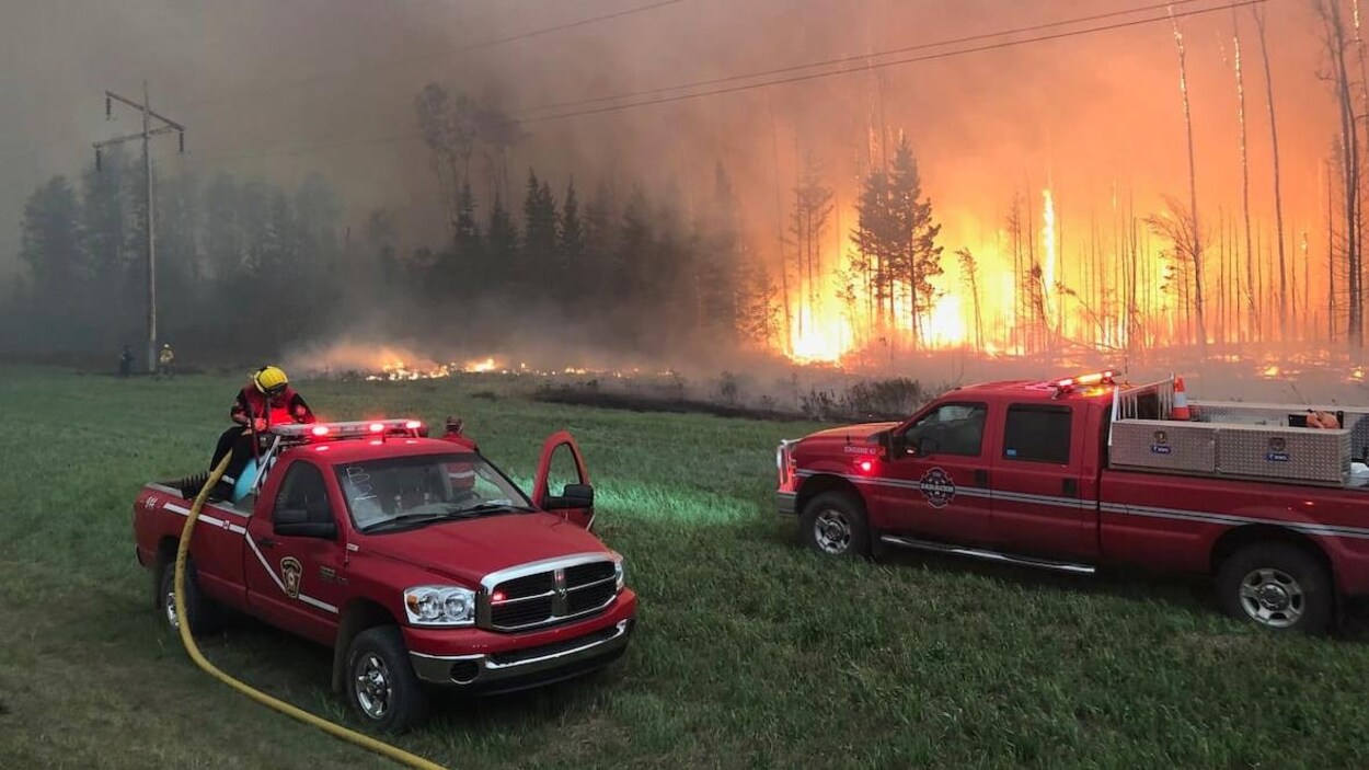 Deux véhicules de pompiers sont stationnés dans un champ. En arrière-plan, des arbres flambent.