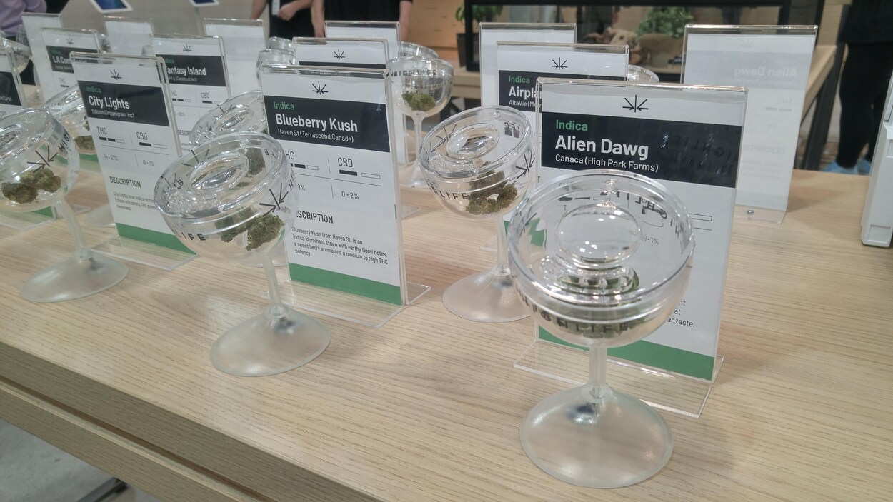 Un présentoir des différentes variétés de cannabis offertes aux clients.