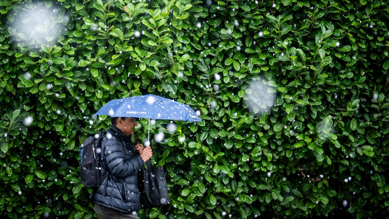 Un hiver 1,9 °C au-dessus des normales de saison en Colombie-Britannique