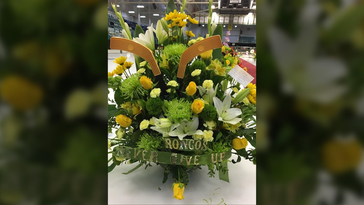Fleurs vertes et jeunes avec l'inscription : Broncos, never give up. Fleurs vertes et jeunes avec l'inscription : Broncos, never give up.