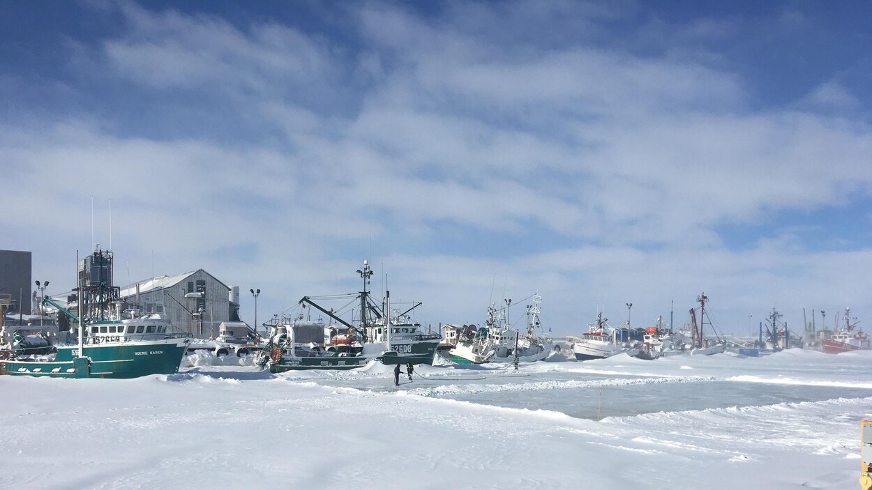 Les deux patinoires se trouvent au beau milieu du port de Caraquet Les deux patinoires se trouvent au beau milieu du port de Caraquet