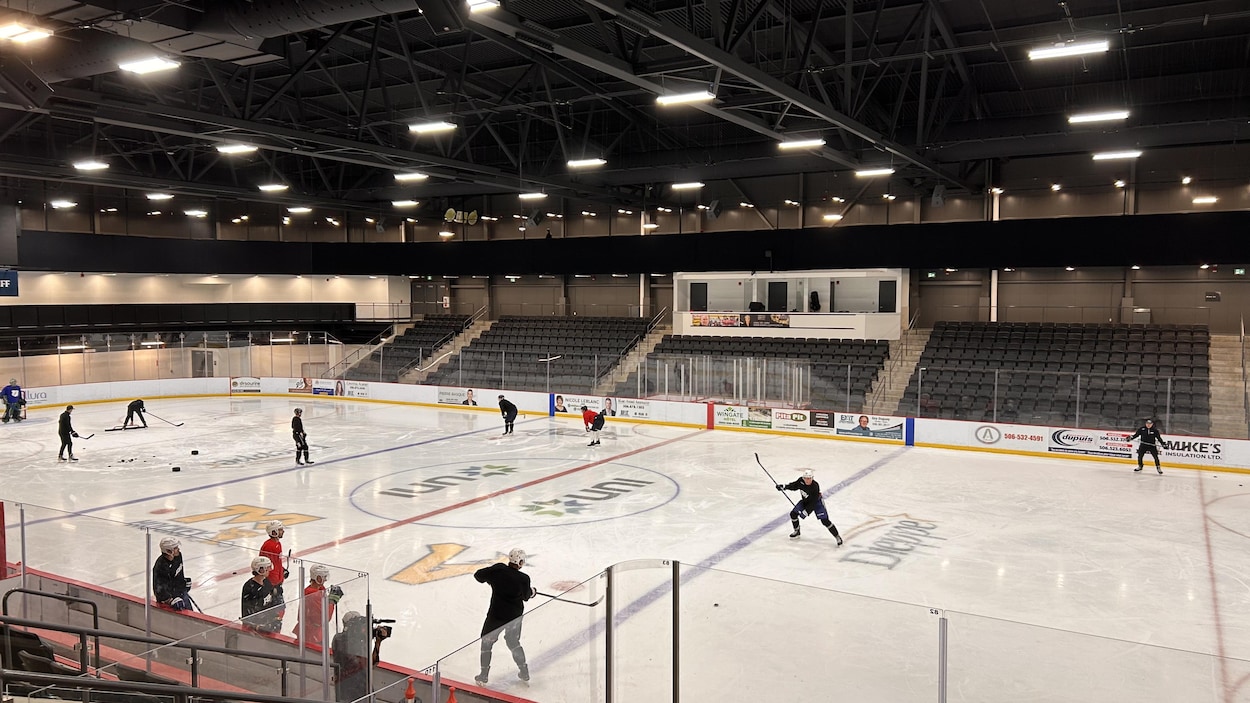 Hockey pro : s’entraîner même en été, c’est possible à Dieppe