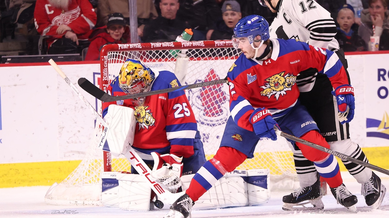 Les Wildcats de Moncton sont prêts pour un autre match intense contre l’Armada
