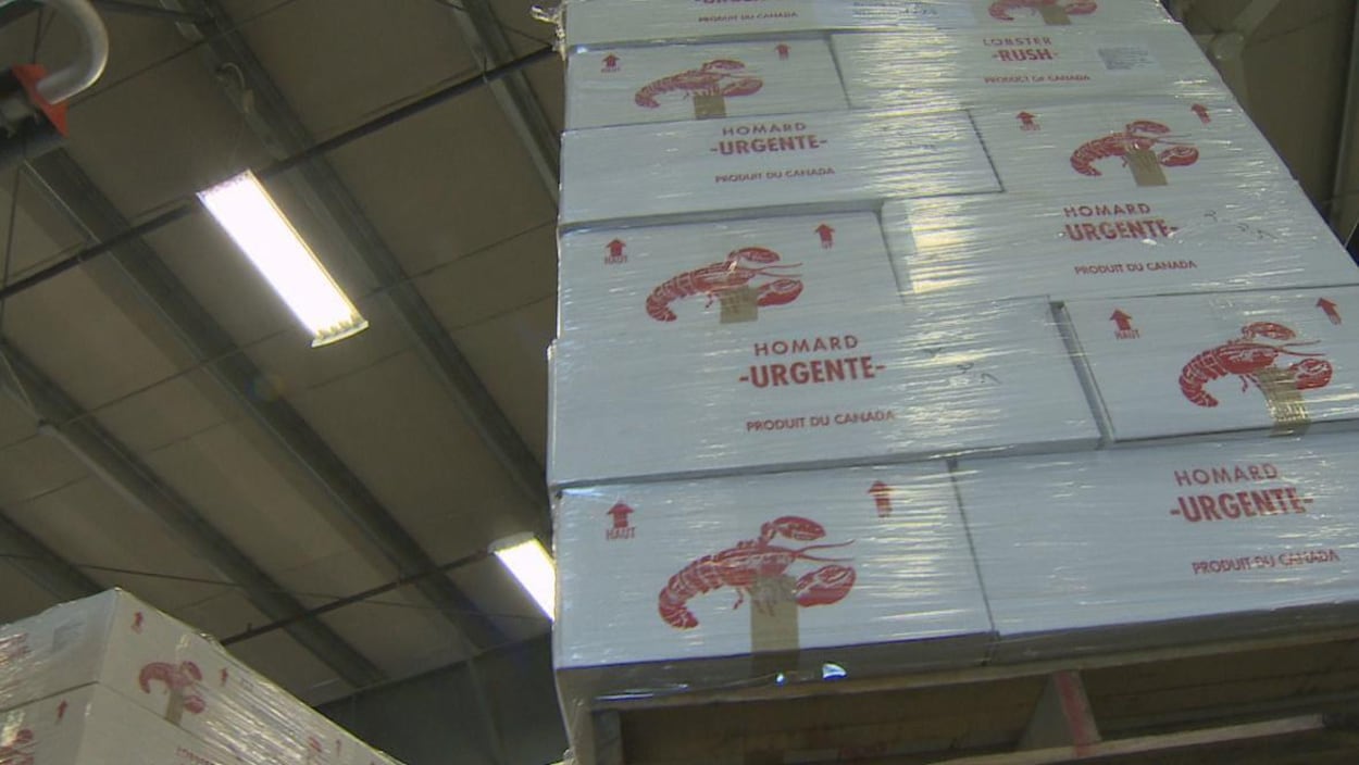 Des caisses de homards sur des palettes à l'aéroport d'Halifax