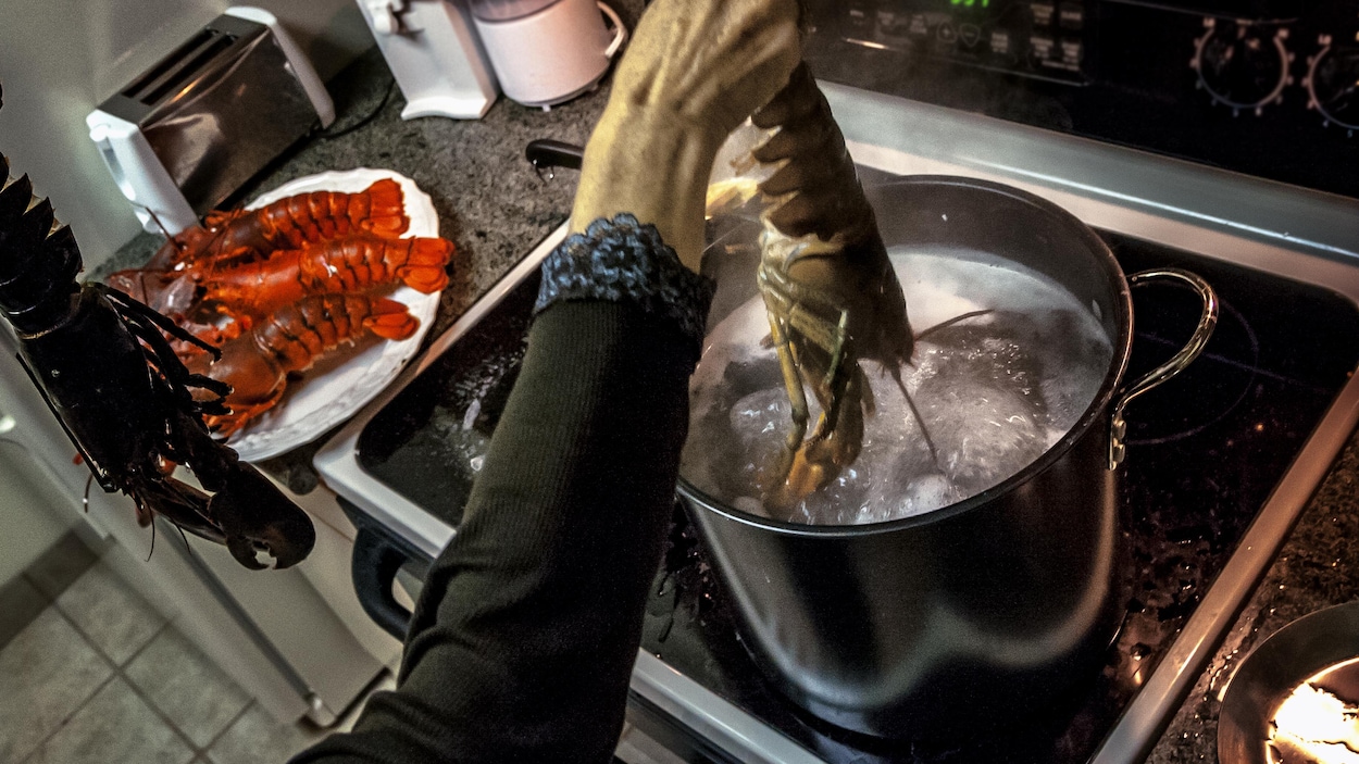 Un chef instructeur enseigne comment tuer « humainement » les homards